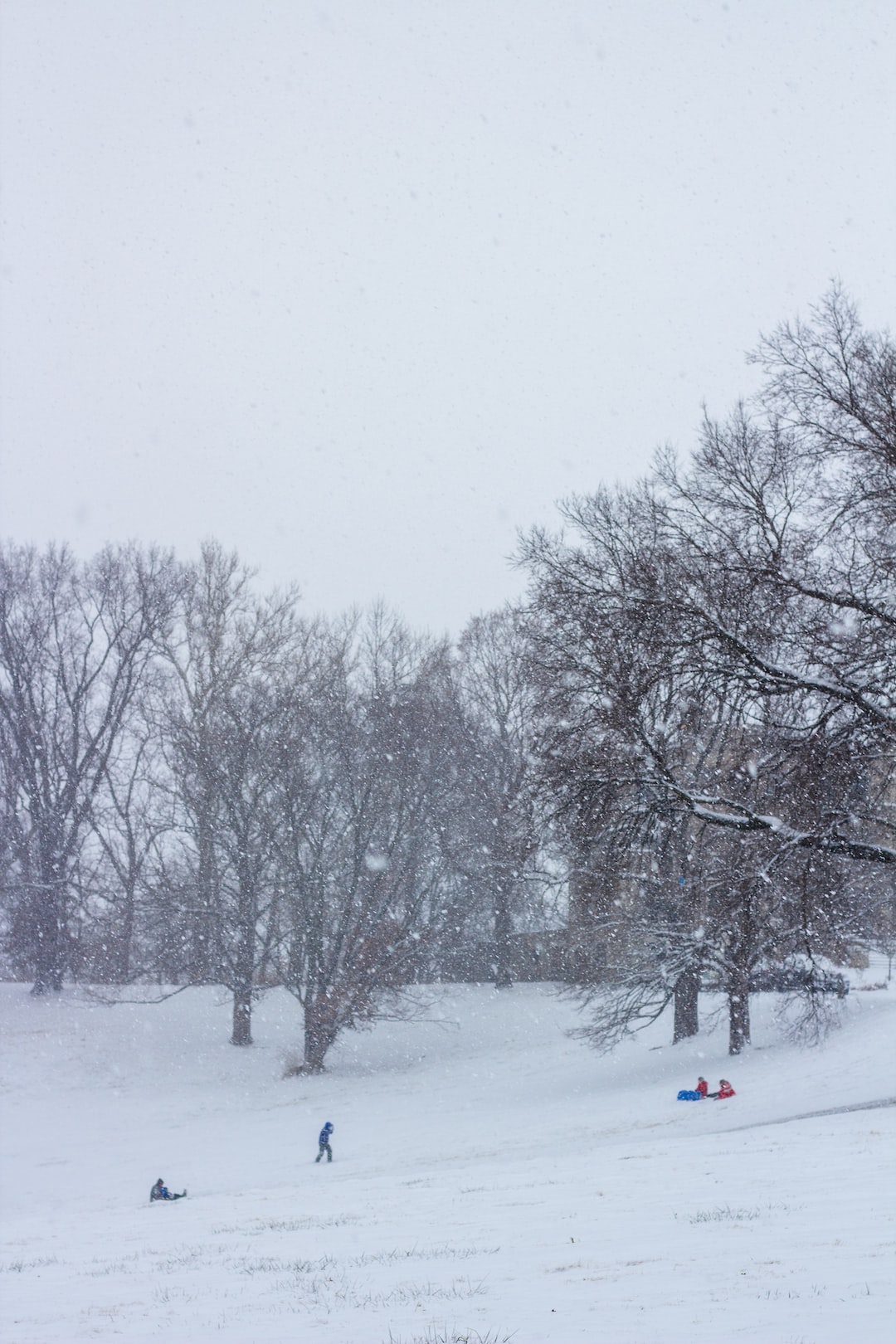 Sledding on New Year's Day