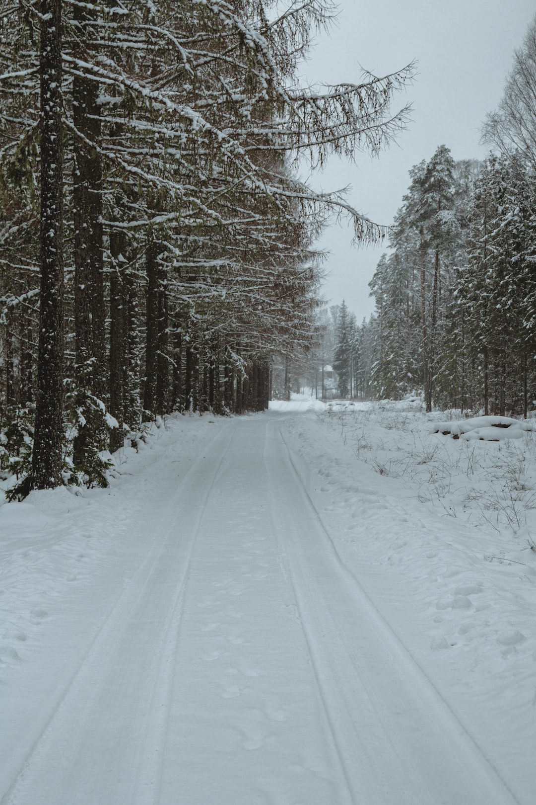 Path with snow.