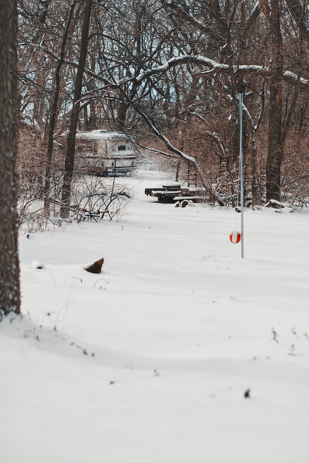 Snow in the yard. 