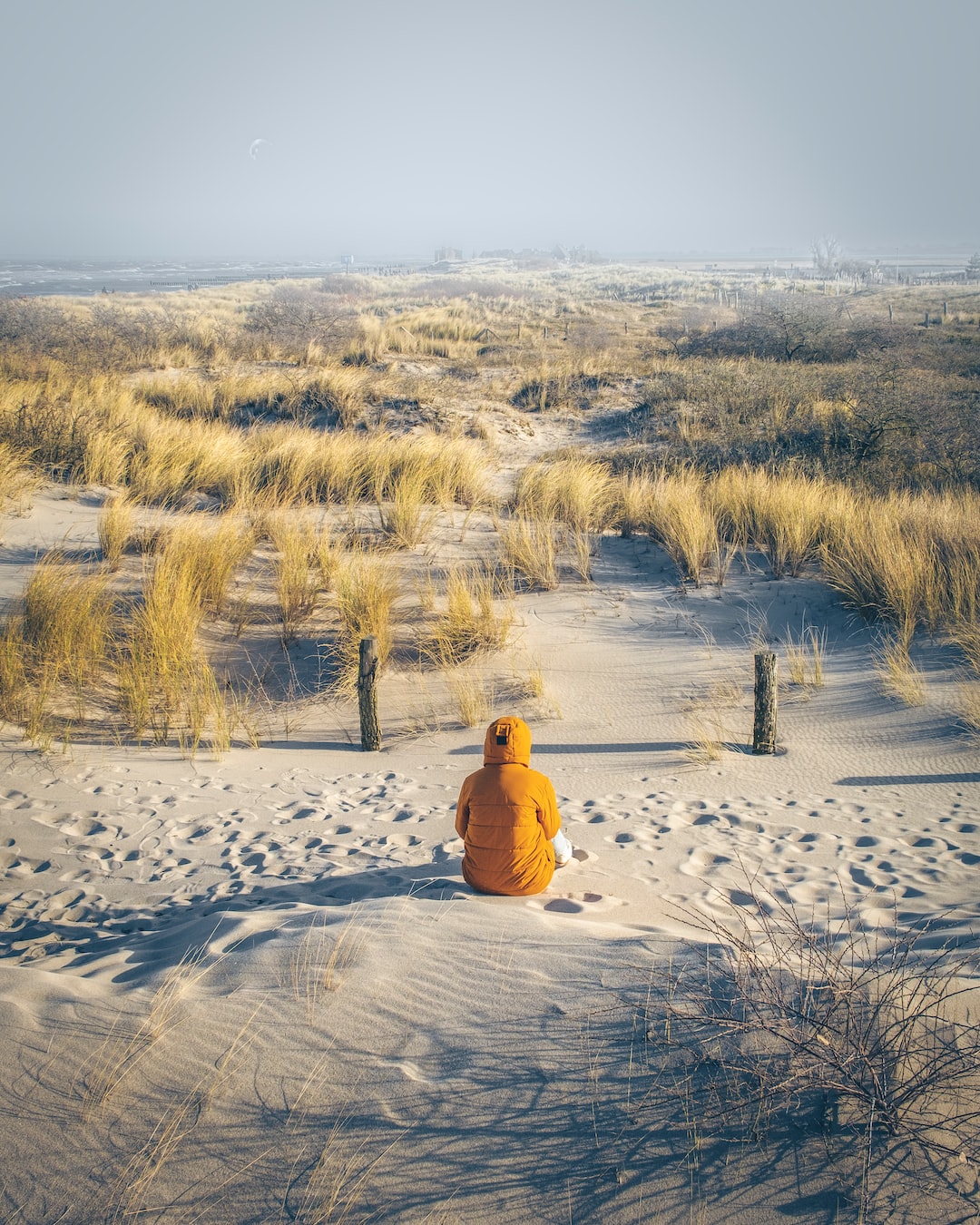 Lonely at the Beach