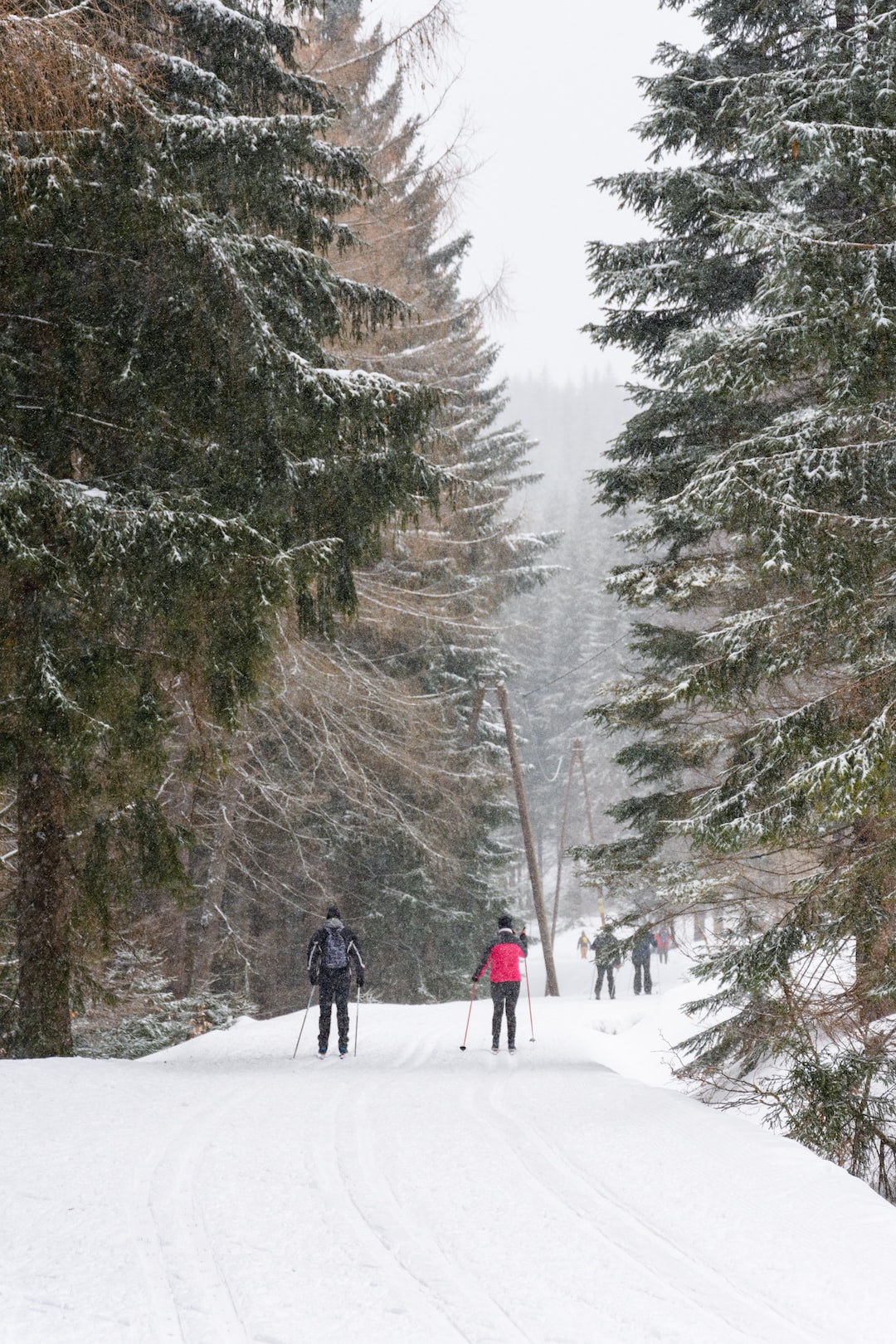 Cross-country skiers on the route