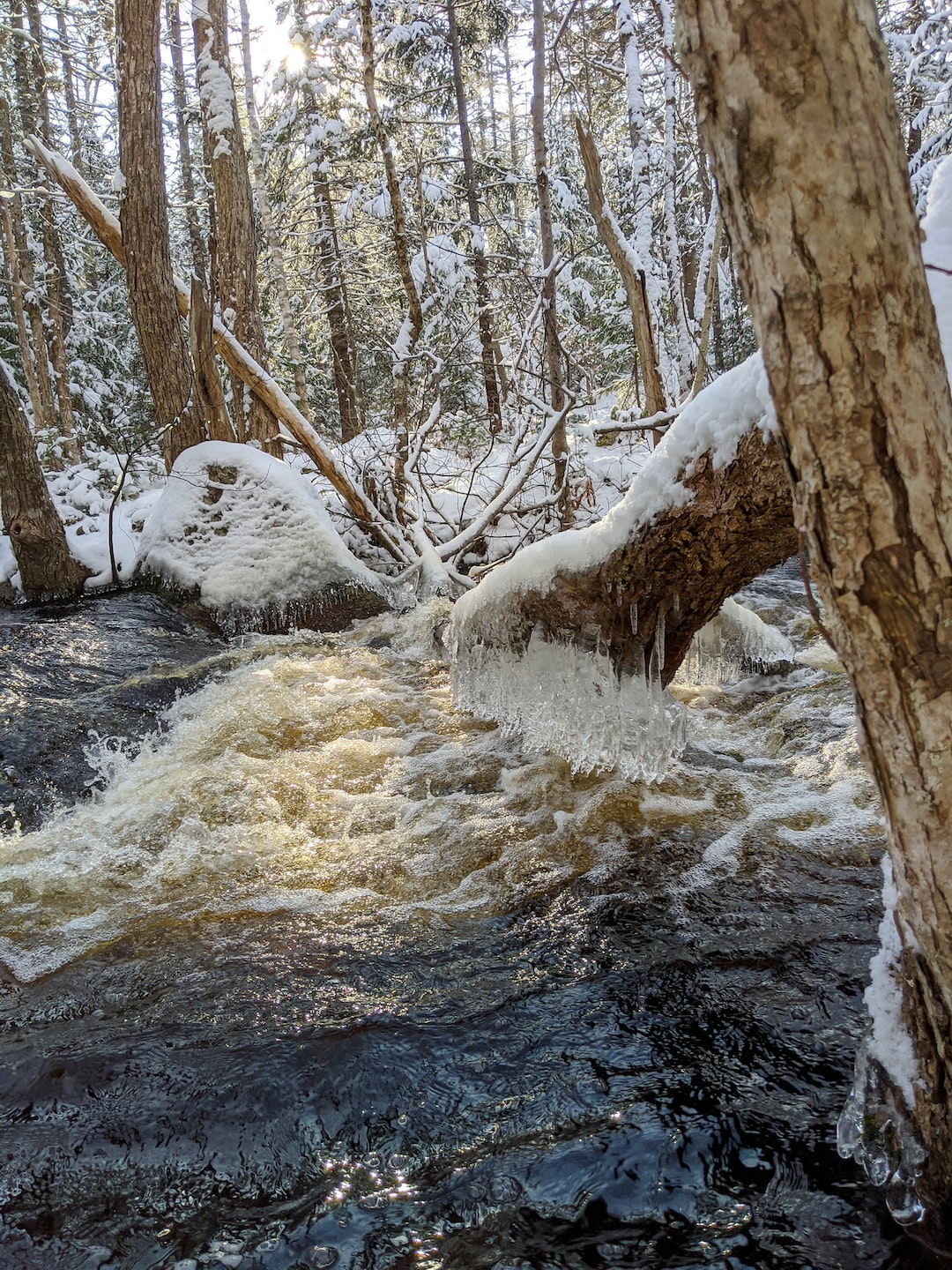 Wintertime creek with fallen tree with icicles and snow