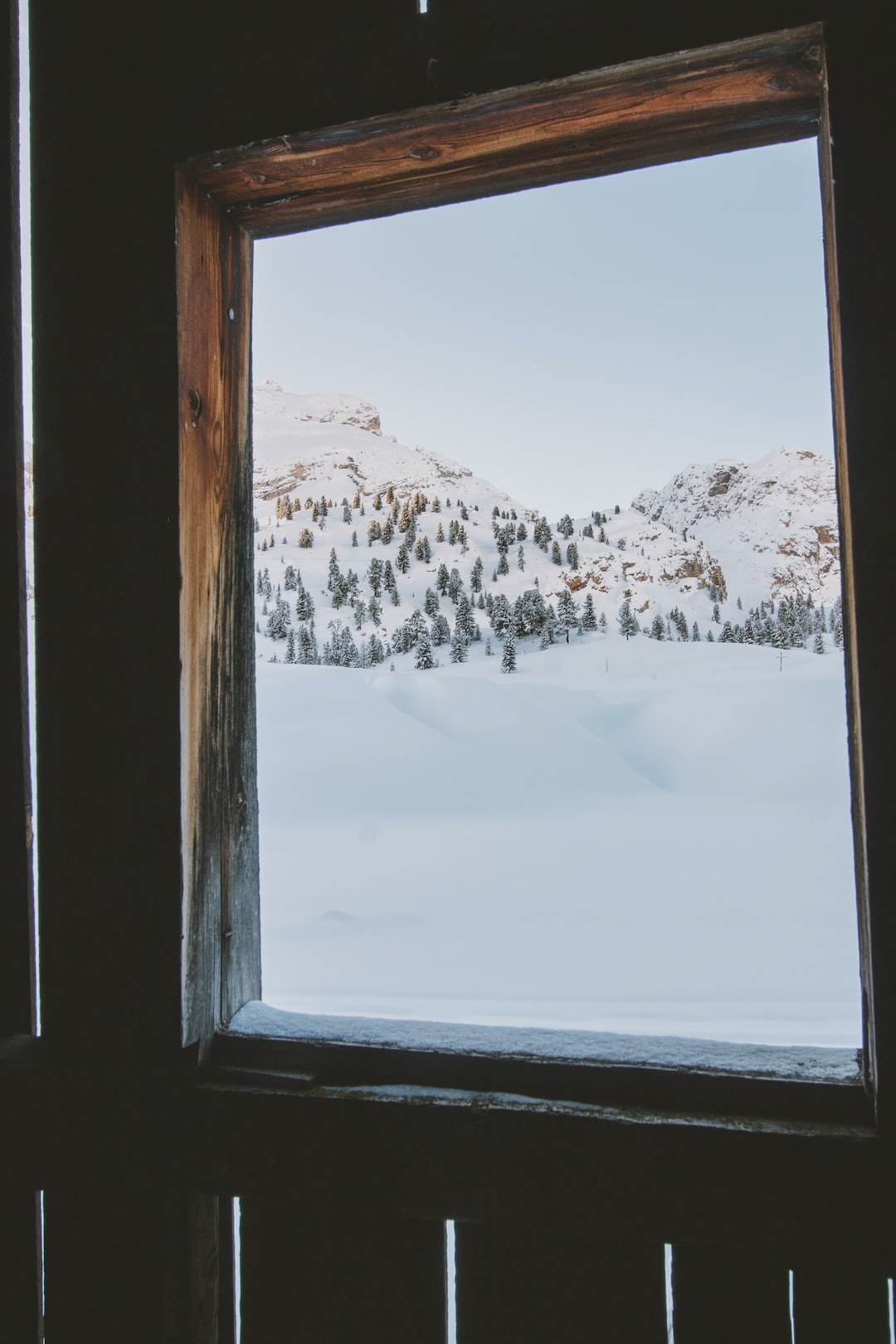 A natural frame for an amazing view!