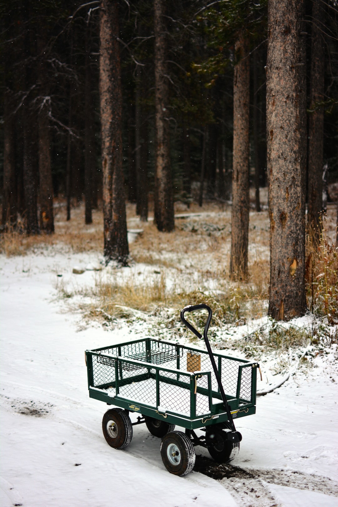 Handcart in the snow