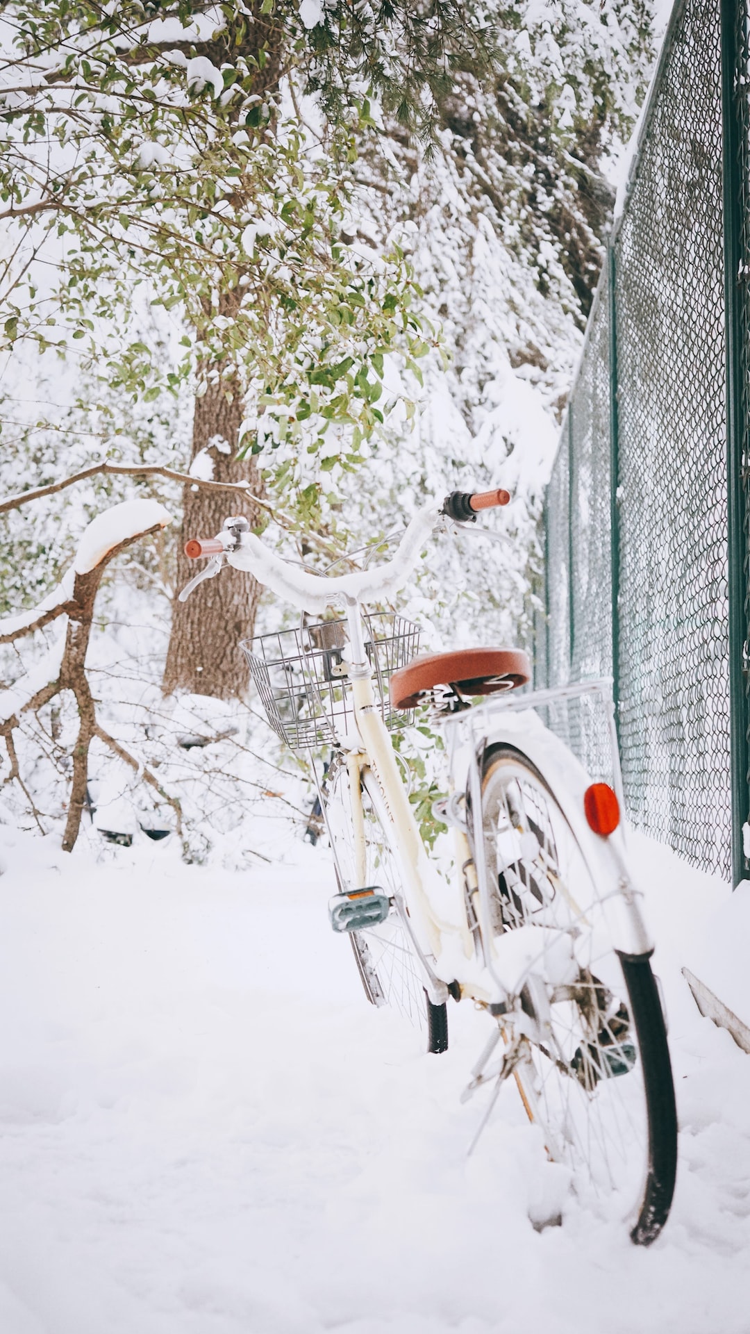 A lonely bike