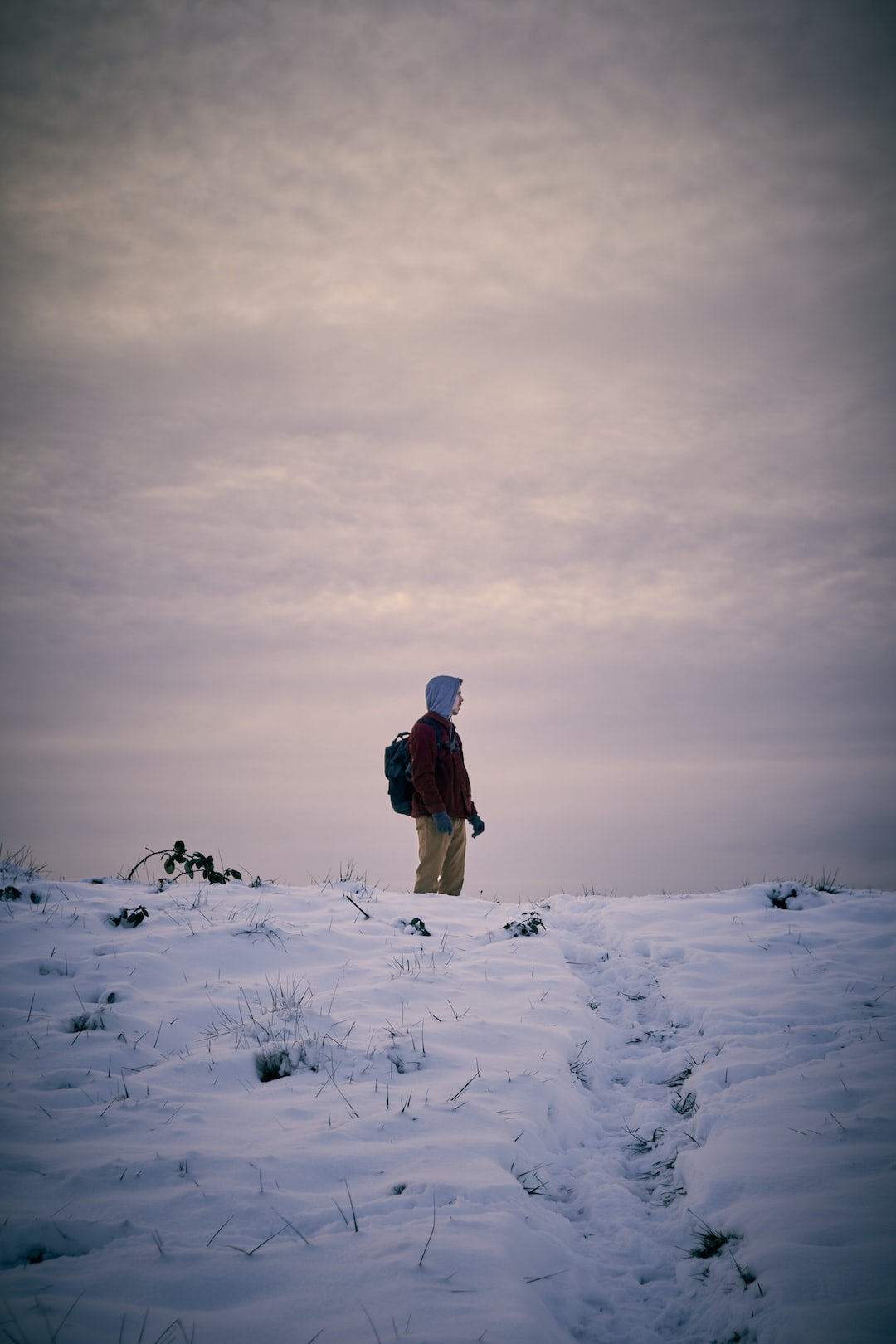 Exploring in the snow