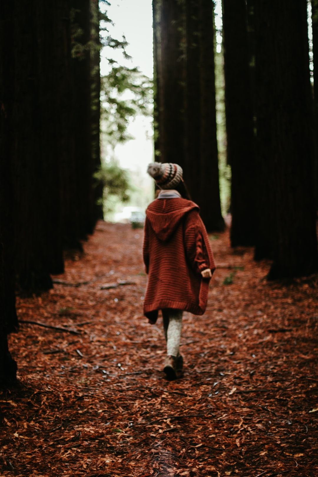 A girl lost in a forest