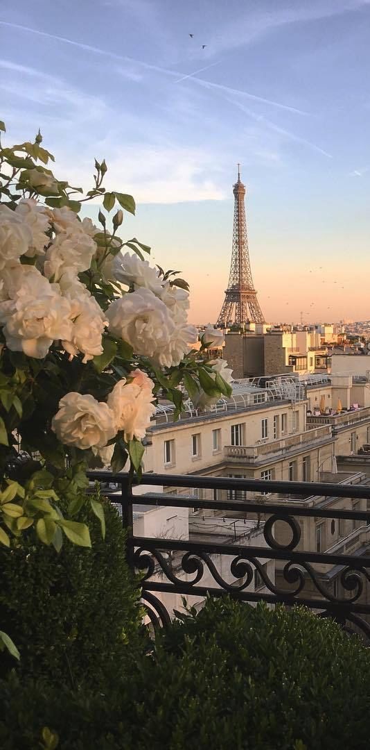 Covet Paris the marvelous luxury world  Fondos de pantalla paris Fotografia paisaje Fondo de pantalla de viajes