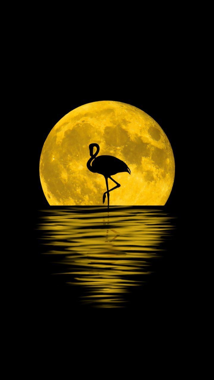 Flamingo moon silhouette reflections digital art 720x1280 wallpaper