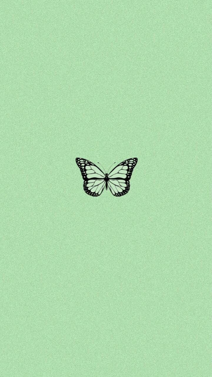 green aesthetic butterfly wallpaper