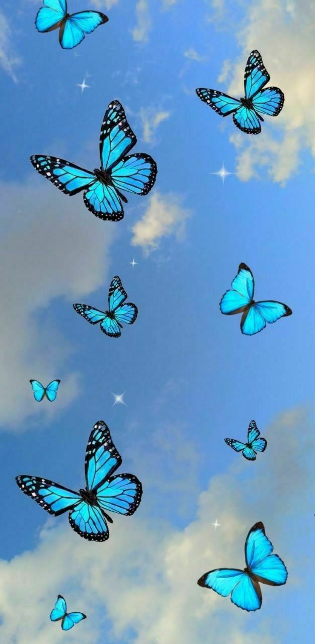 Update 53 butterfly wallpaper blue latest  incdgdbentre