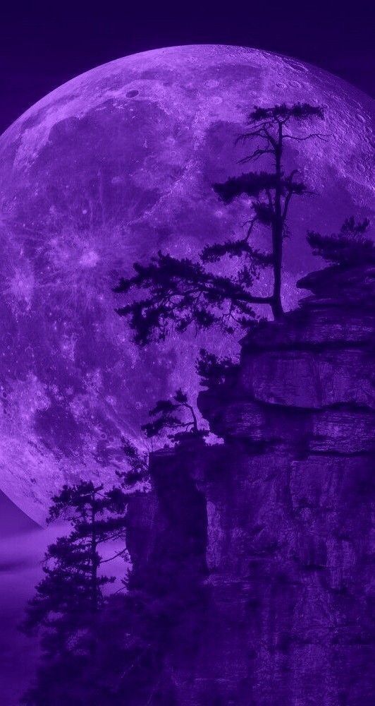 purple aesthetic Wallpaper Download | MOONAZ