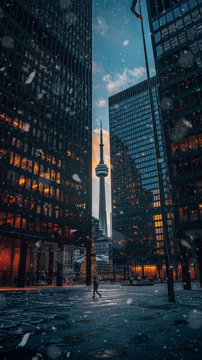 Phone Wallpapers for Toronto History Geeks (And Everyone Else) - Local  History & Genealogy