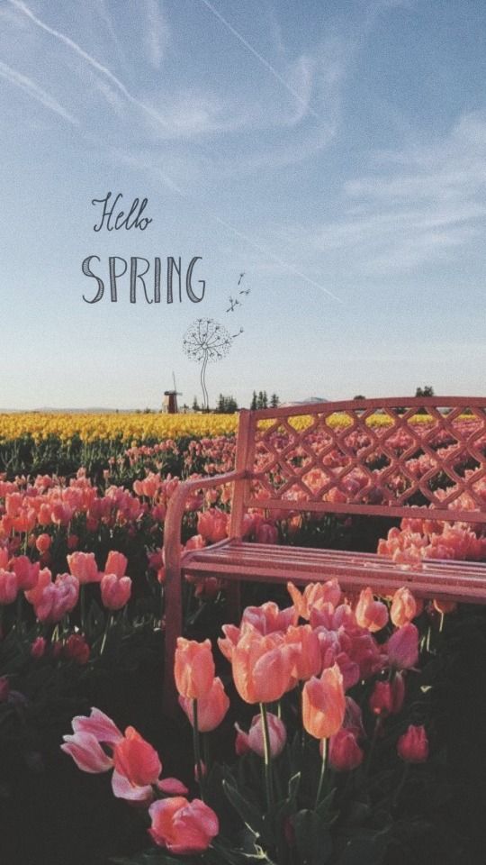 lockscreens Spring aesthetic  Requested  Like or reblog if