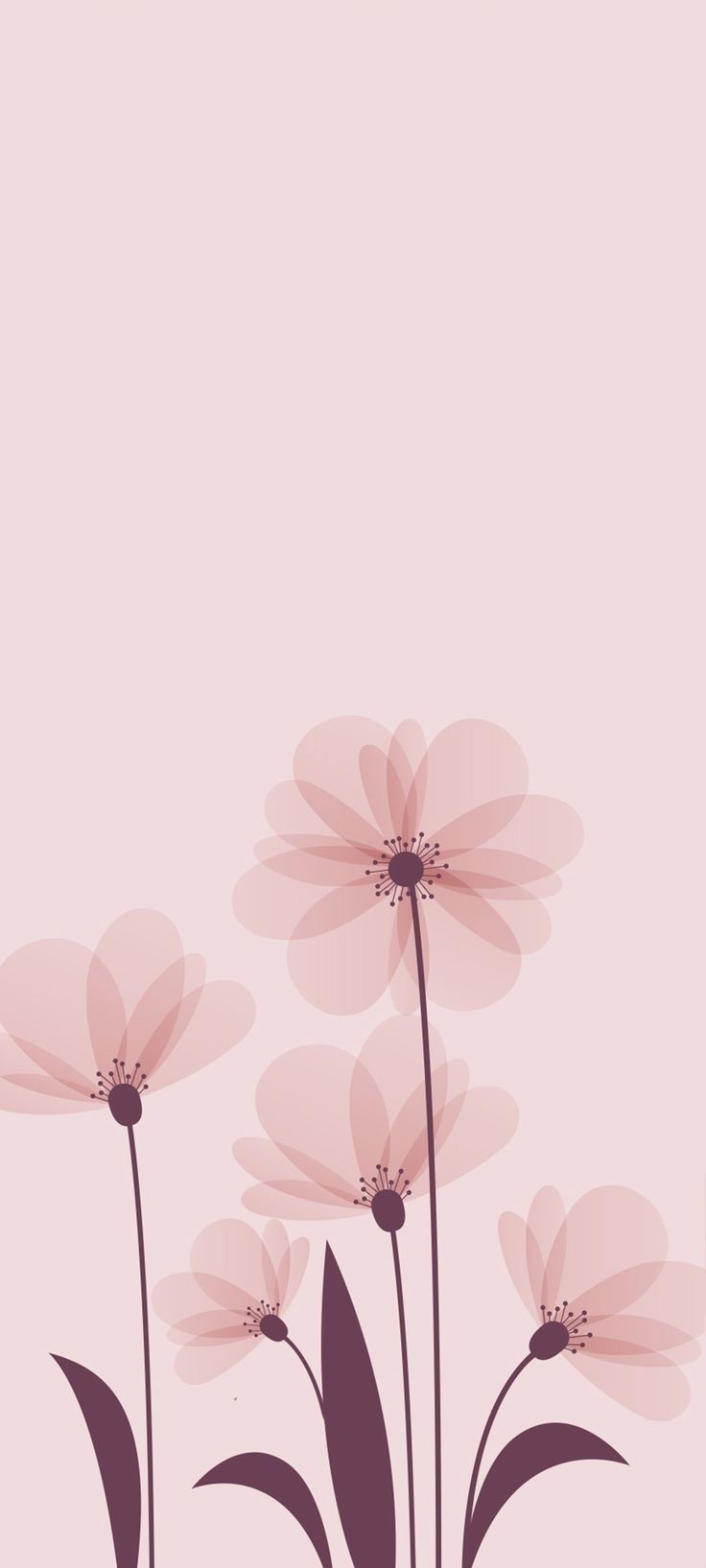 50 Floral iPhone Wallpaper  WallpaperSafari