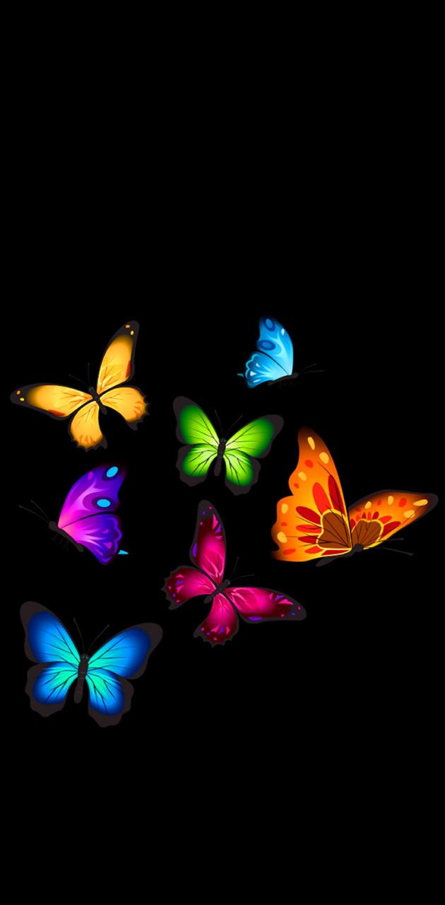 Butterflies