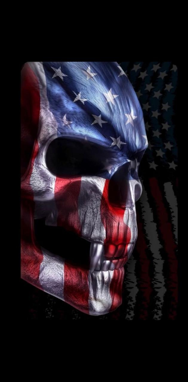 Transparent American Flag Punisher Skull american flag skull HD phone  wallpaper  Pxfuel