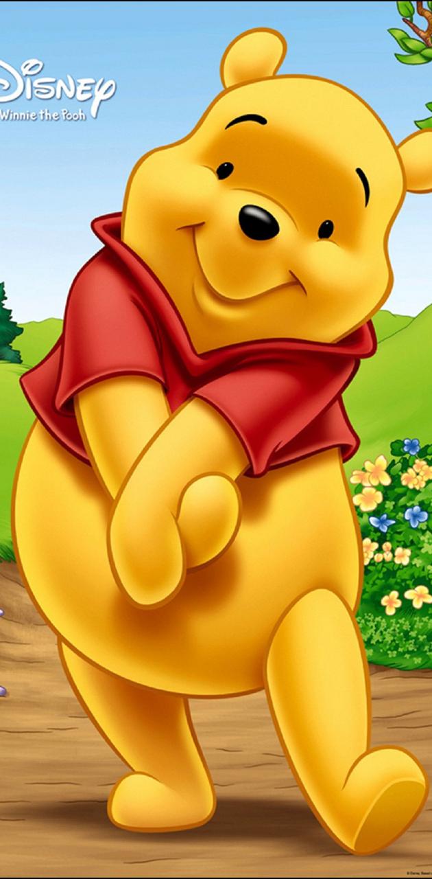 The pooh Winnie