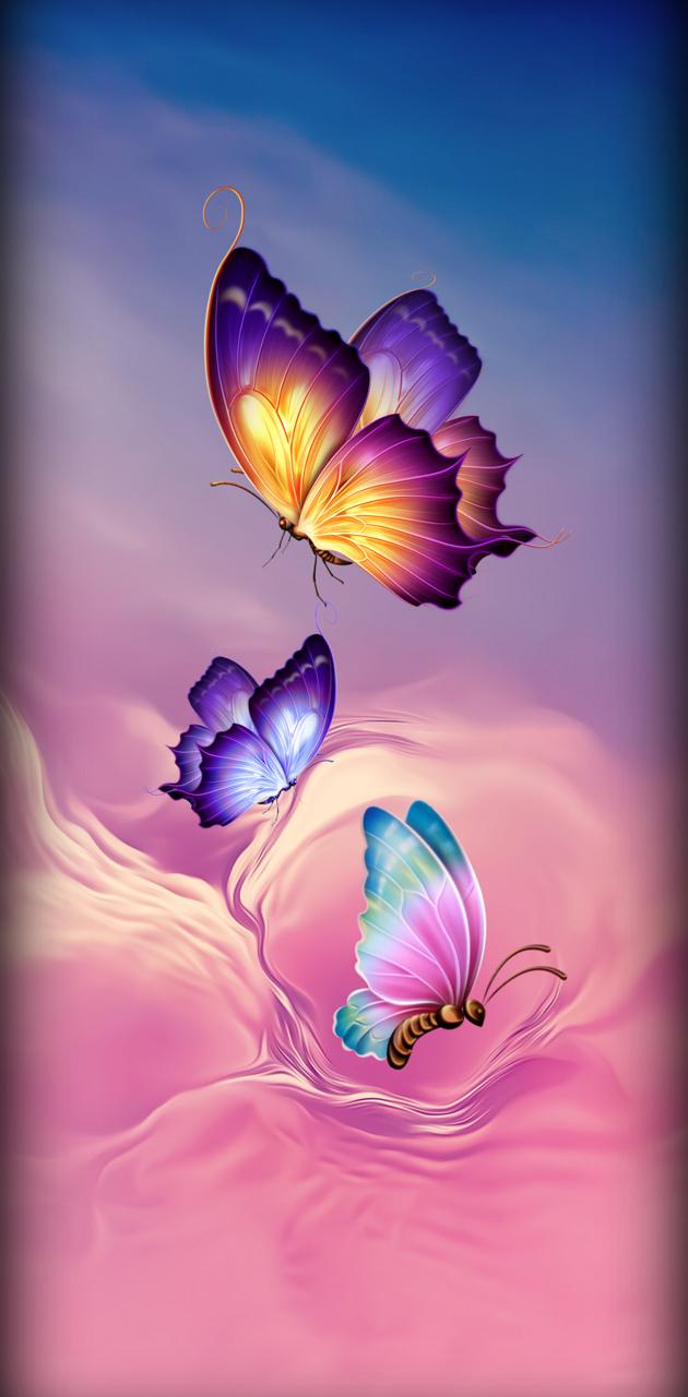 Butterflies