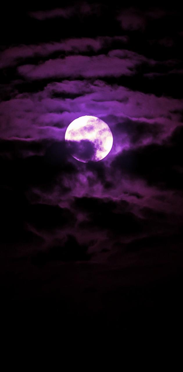 Purple Moonlight