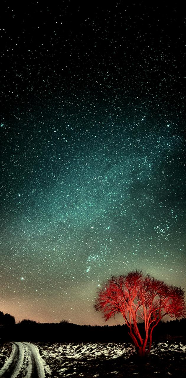 Starry Sky