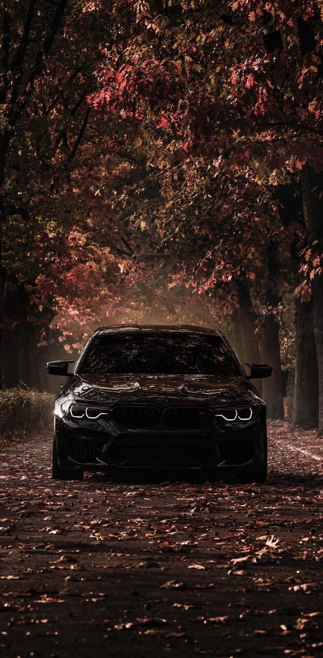 BMW M5 ZEDSLY