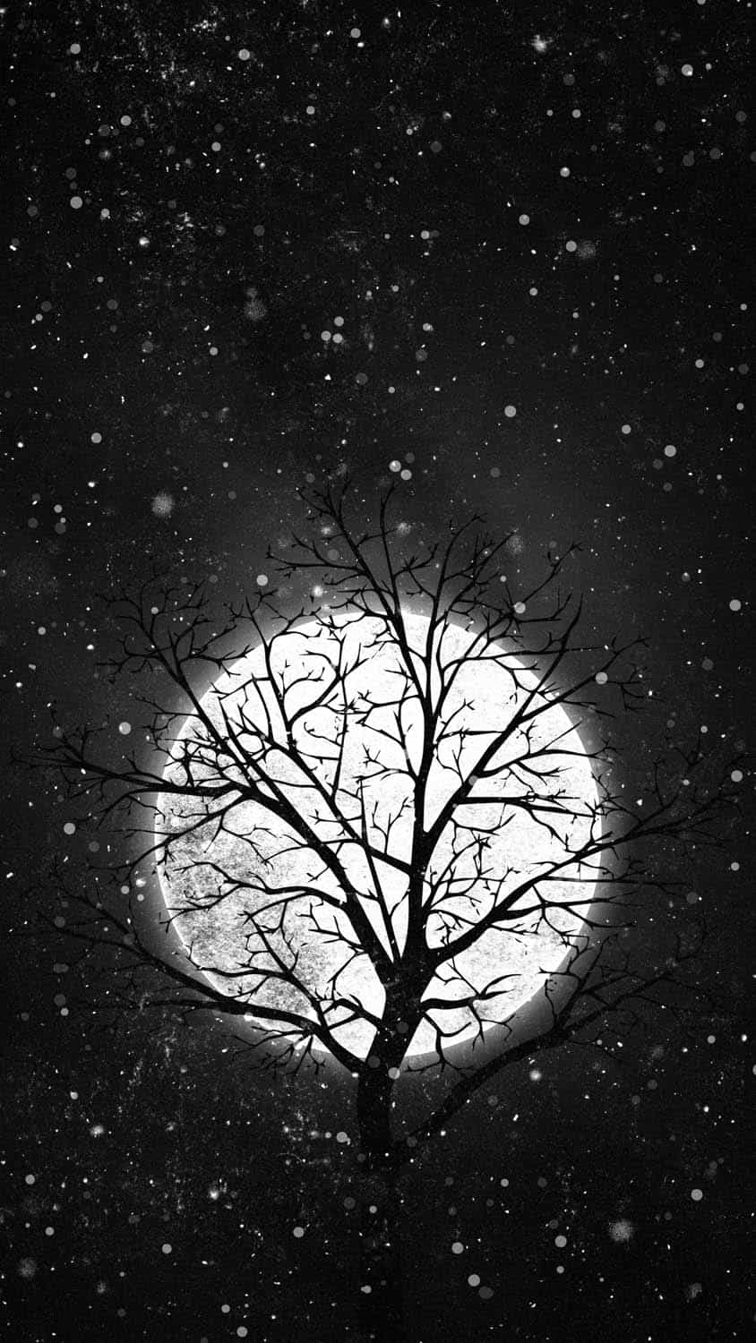 Moon Behind Tree IPhone Wallpaper HD  IPhone Wallpapers