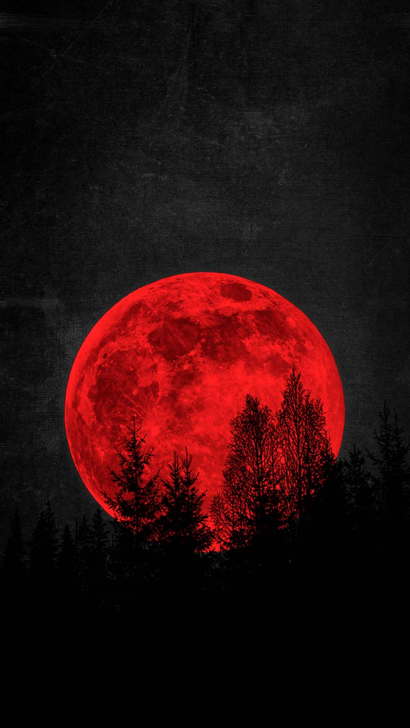 Blood Moon Wallpaper 4K Total Lunar Eclipse 3313