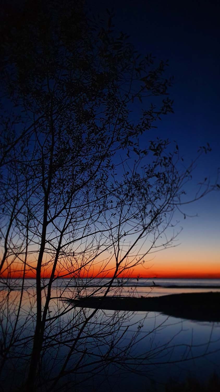 Sunset Beach Tree IPhone Wallpaper HD  IPhone Wallpapers