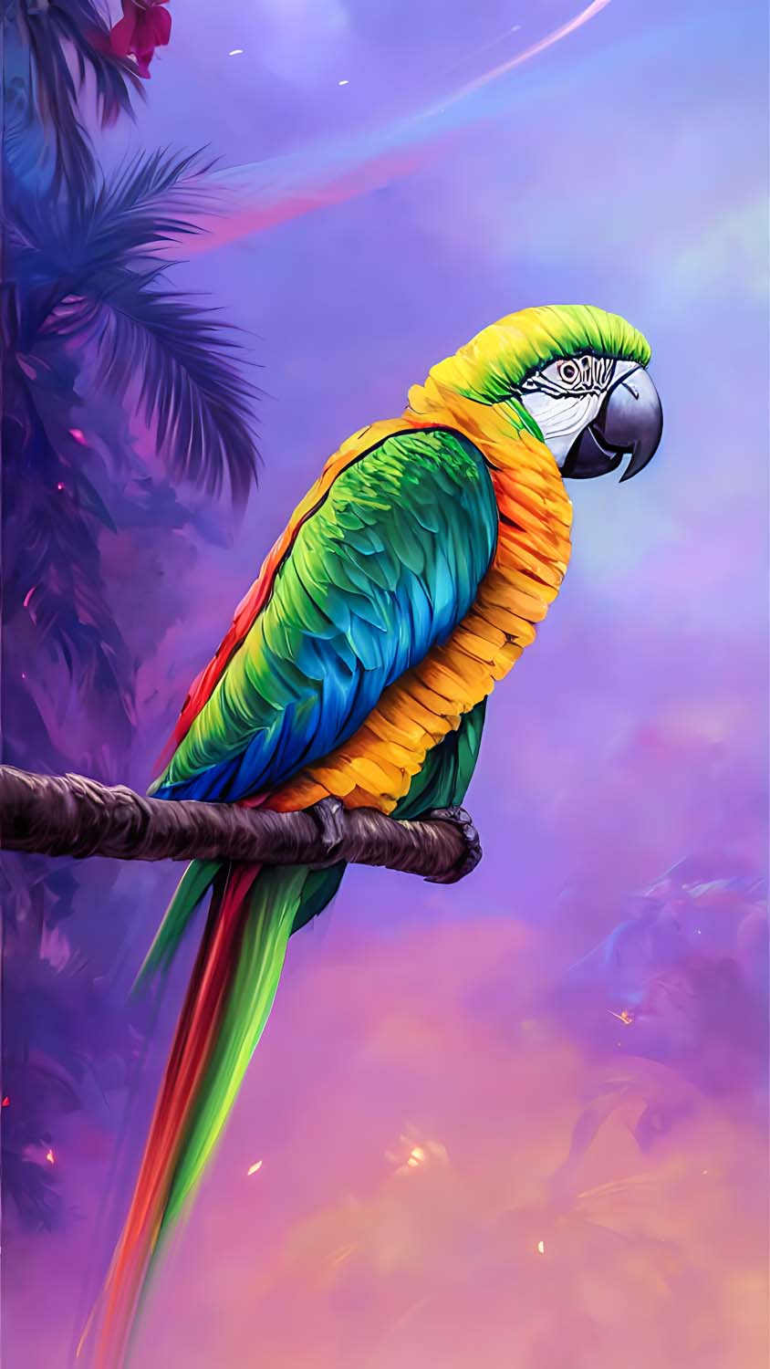 Parrot Art IPhone Wallpaper HD  IPhone Wallpapers