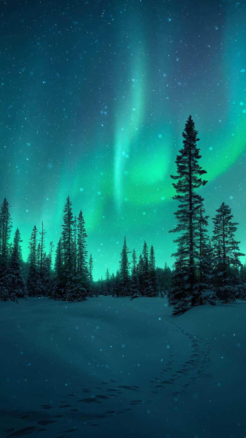 Snow Fall Northern Lights IPhone Wallpaper HD  IPhone Wallpapers