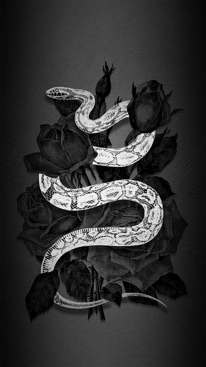 Snake Dark Art iPhone Wallpaper  iPhone Wallpapers