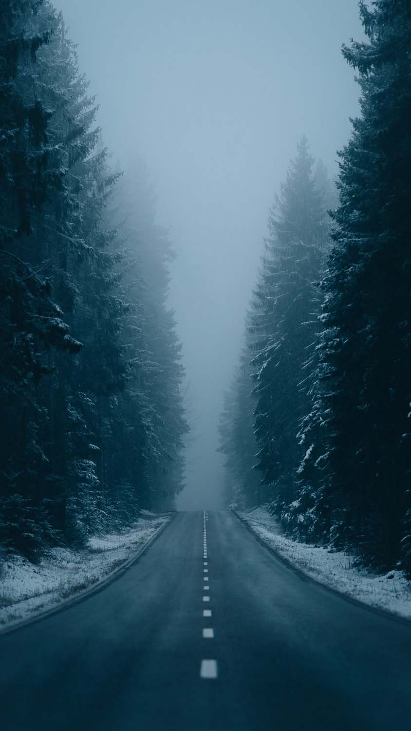 Snow Morning Mist Road IPhone Wallpaper HD  IPhone Wallpapers