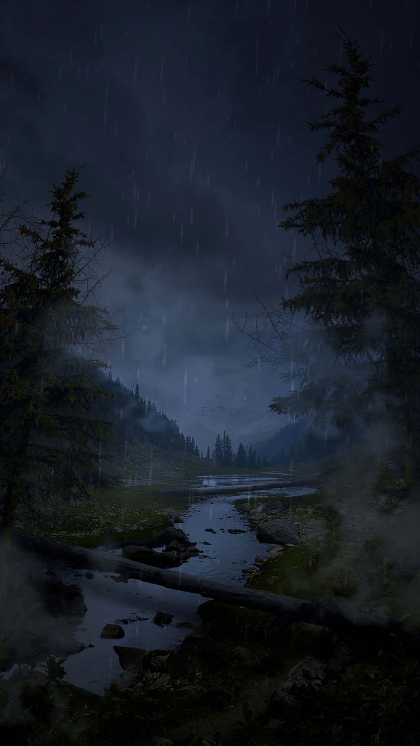 Rain In Forest IPhone Wallpaper HD  IPhone Wallpapers