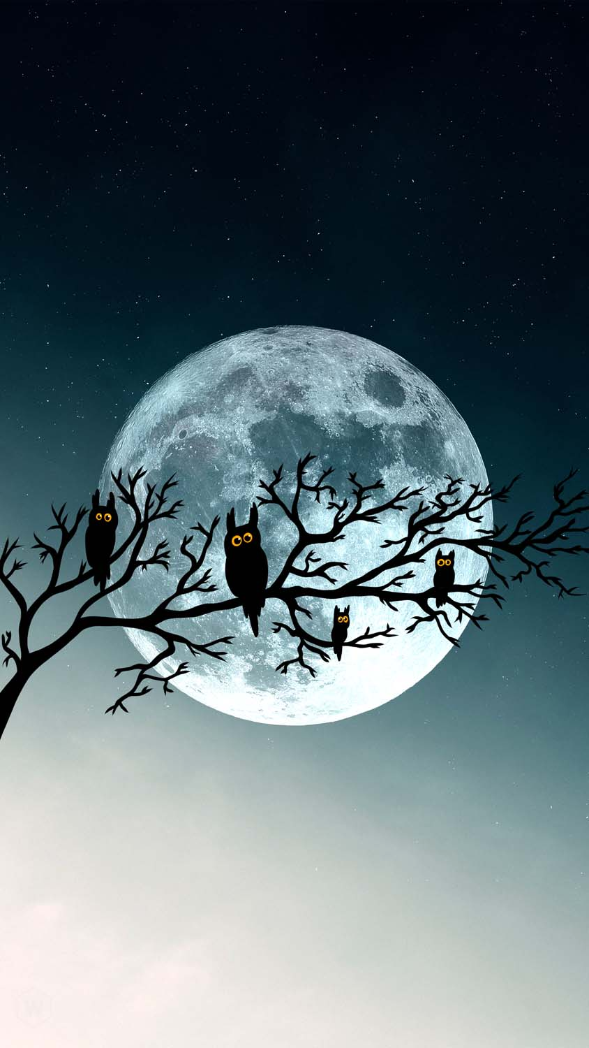 Halloween Moon And Owls IPhone Wallpaper HD  IPhone Wallpapers