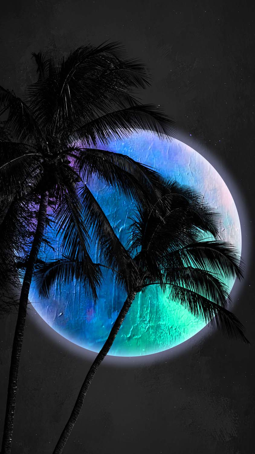 Palm Trees And Moon IPhone Wallpaper HD  IPhone Wallpapers