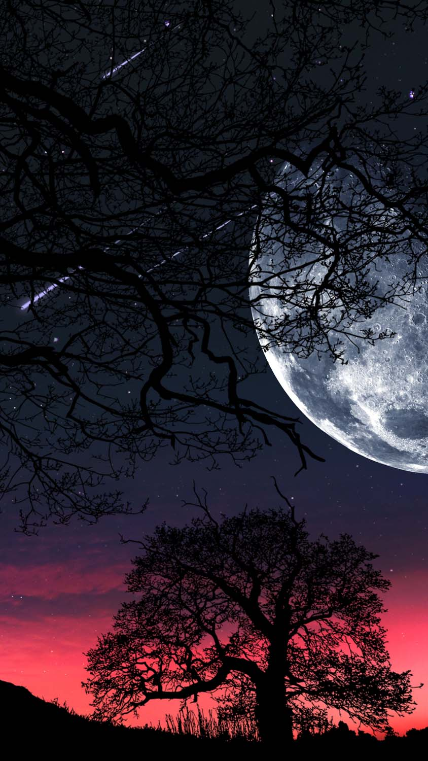 Moon Night Sky Fantasy Black And - Free photo on Pixabay - Pixabay