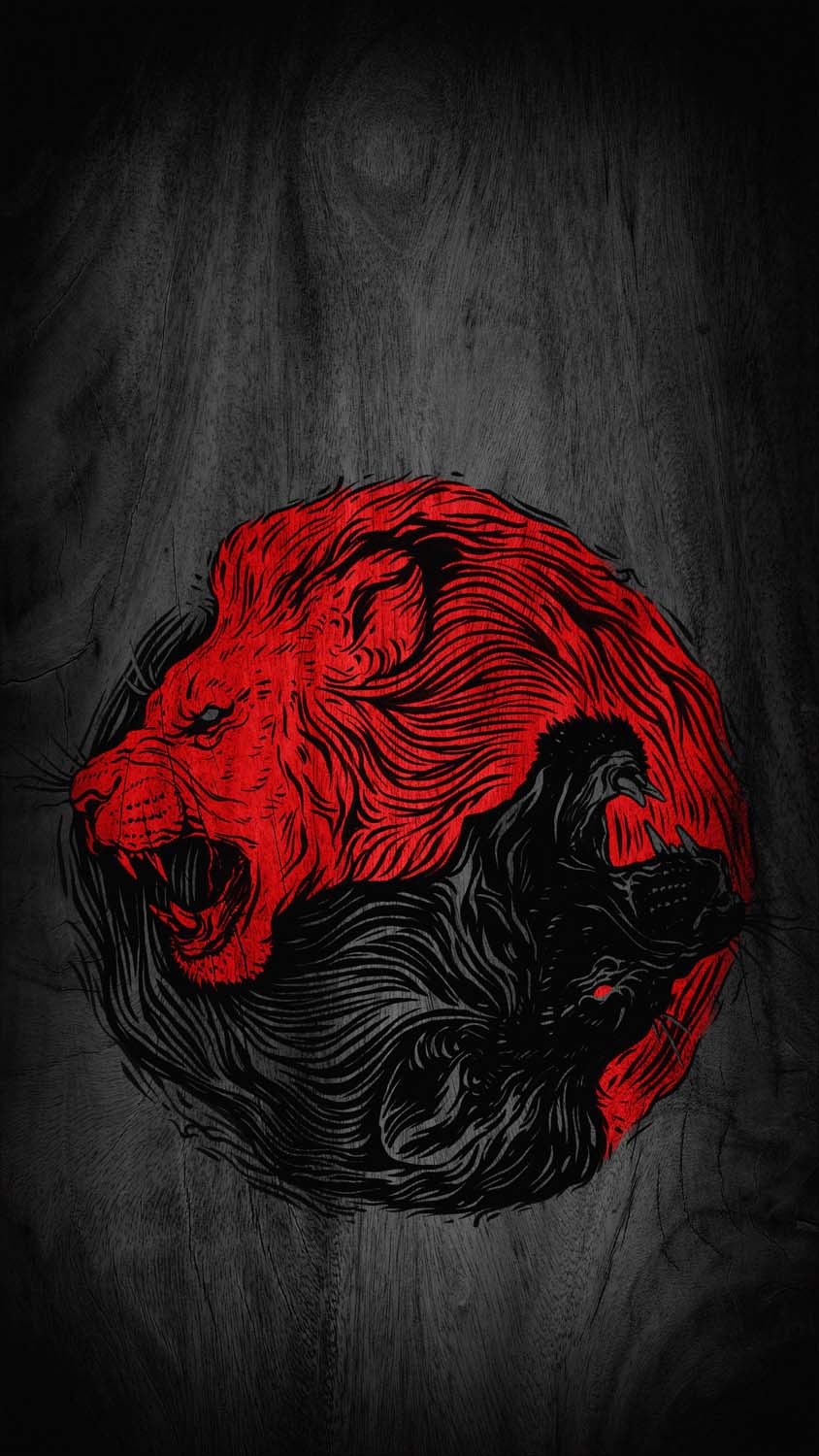 Lion Yin Yang IPhone Wallpaper HD  IPhone Wallpapers