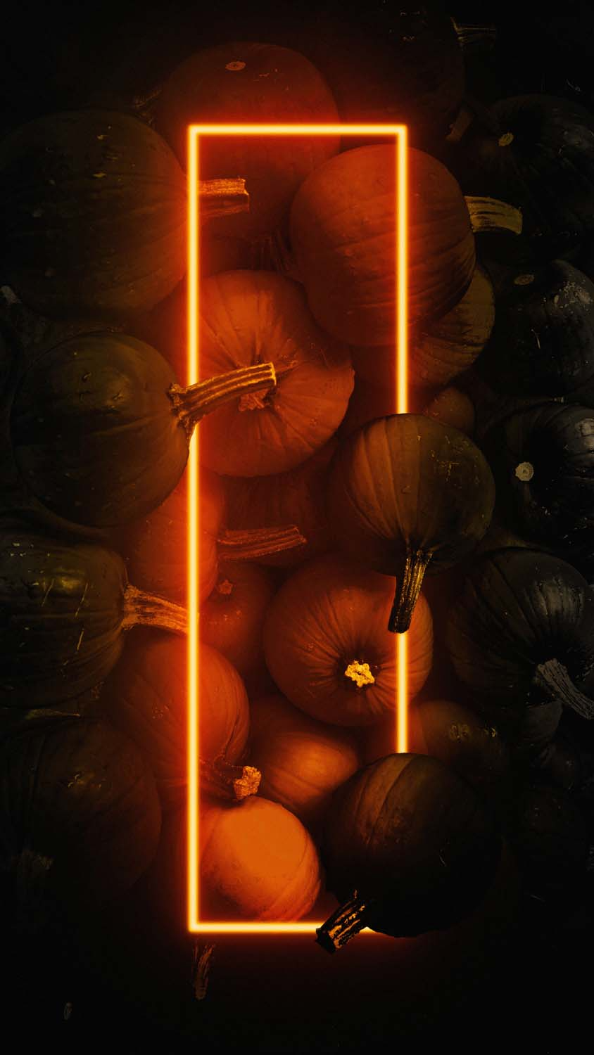 Pumpkin Neon Halloween IPhone Wallpaper HD  IPhone Wallpapers