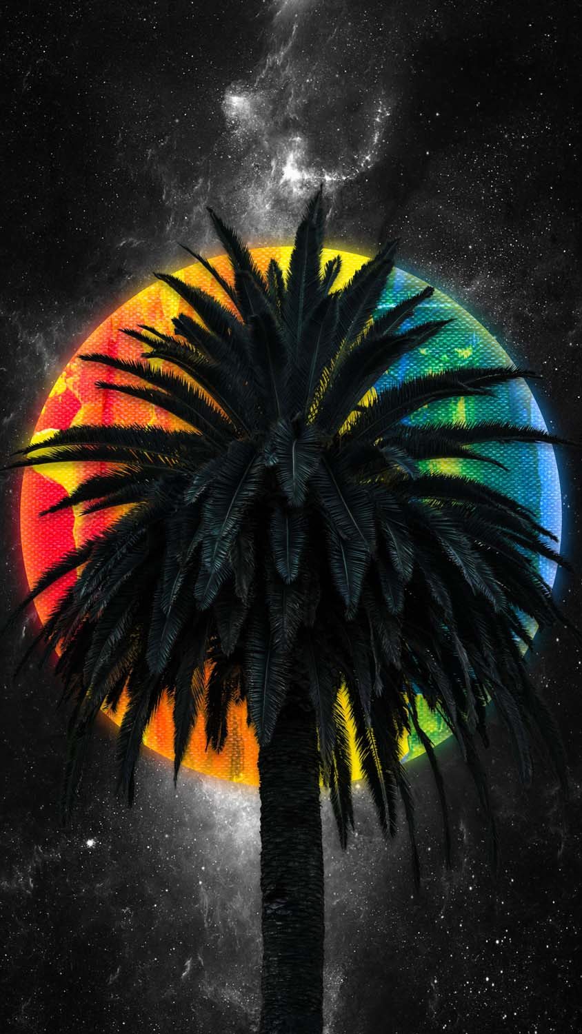 Palm Tree IPhone Wallpaper HD  IPhone Wallpapers
