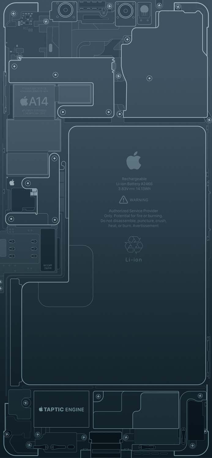 IPhone Pacific Blue Pro Max Schematic IPhone Wallpaper HD  IPhone Wallpapers