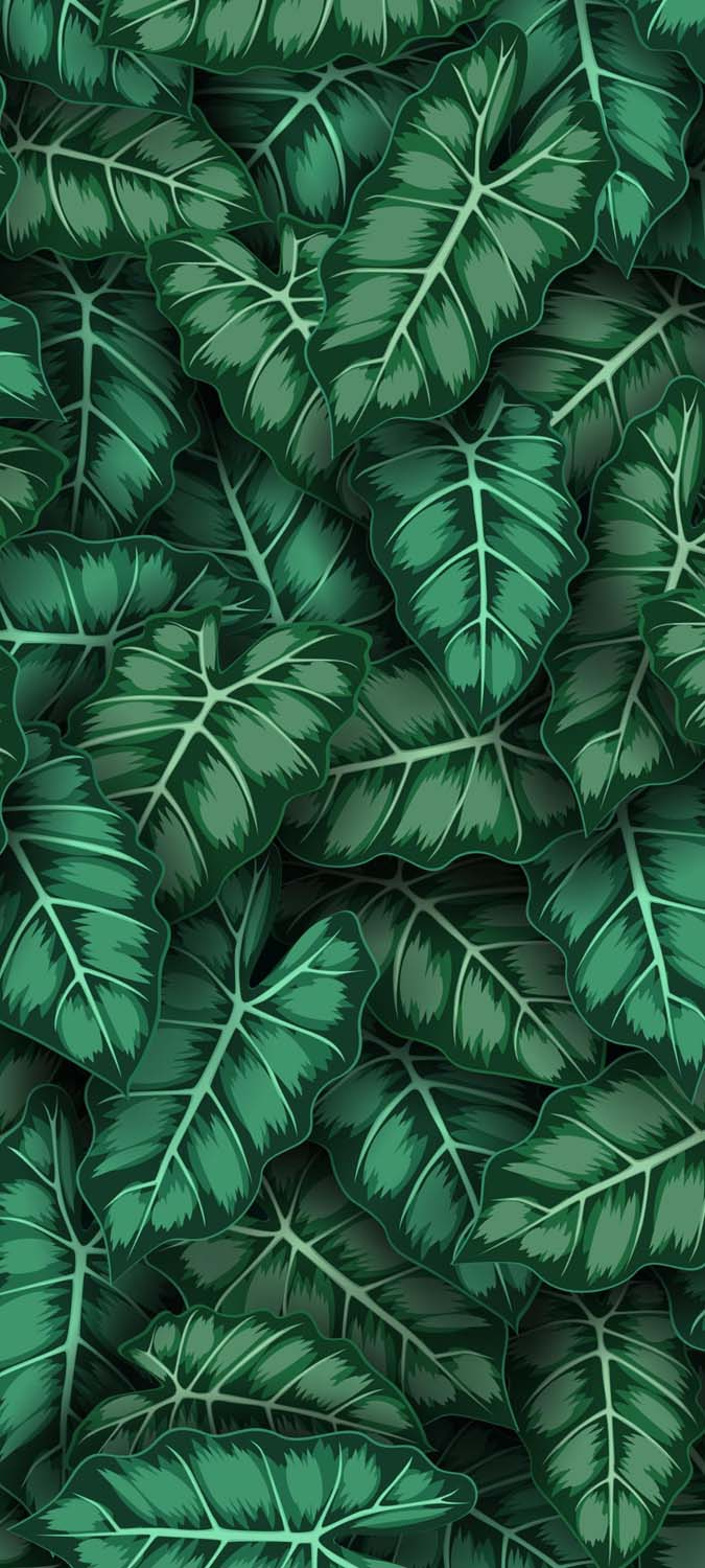 Greenery Exotic IPhone Wallpaper HD  IPhone Wallpapers
