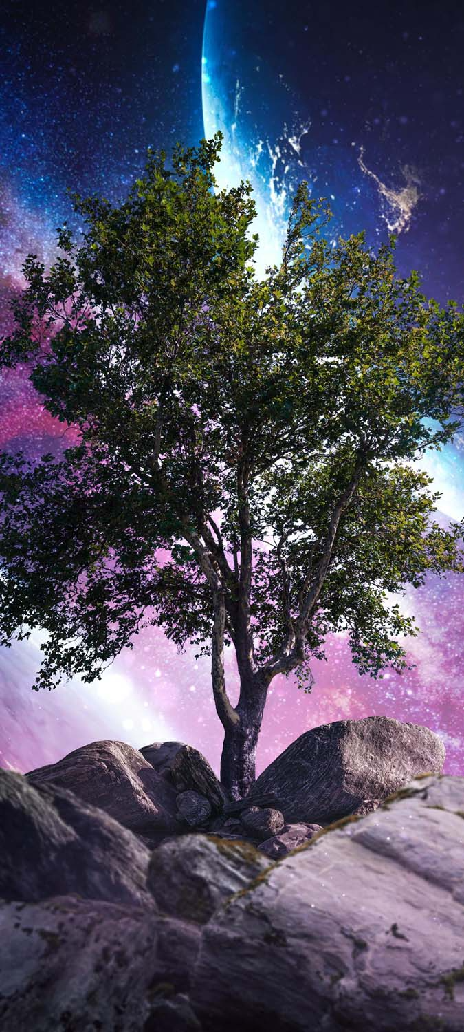 Galaxy Tree IPhone Wallpaper HD  IPhone Wallpapers