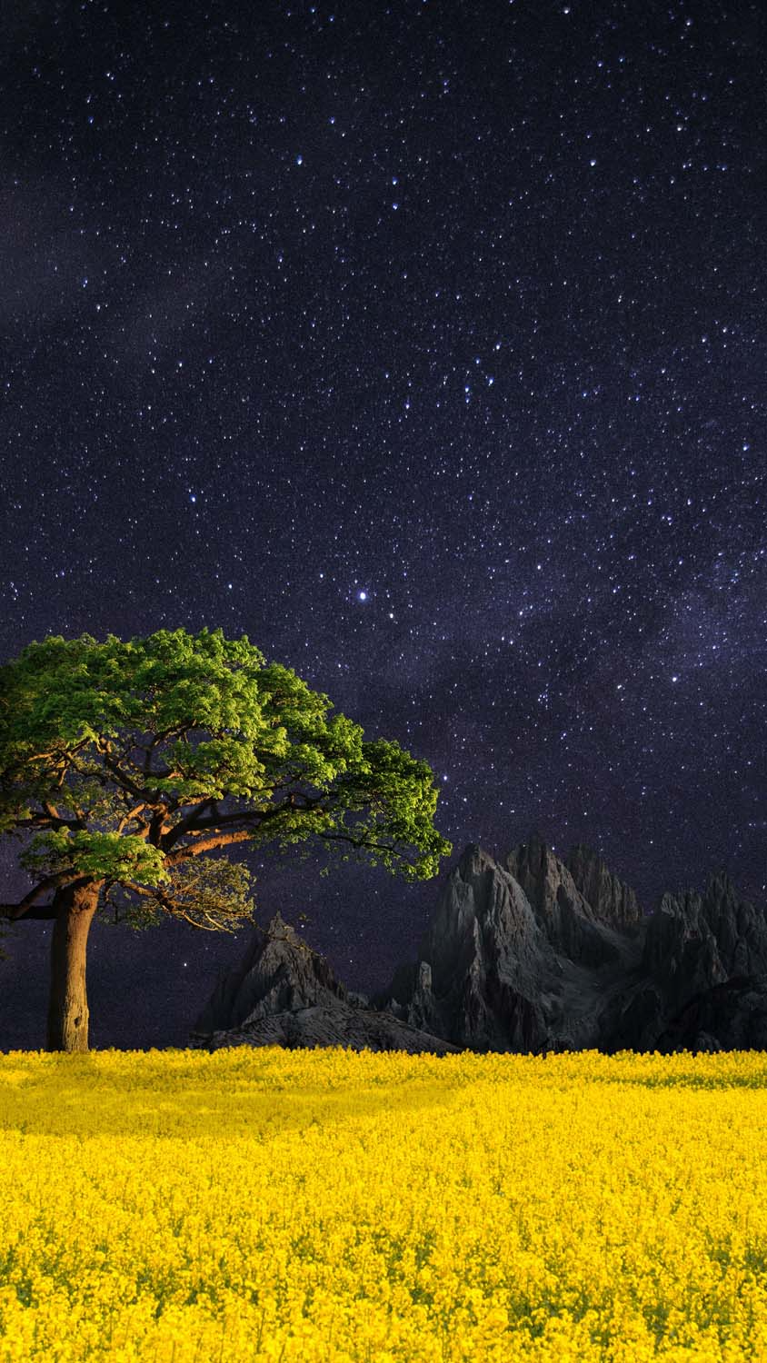 Night Nature Landscape IPhone Wallpaper HD  IPhone Wallpapers