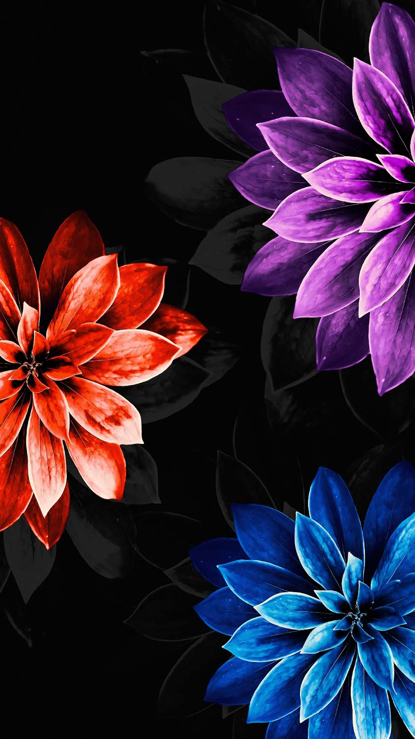 Flowers Amoled IPhone Wallpaper HD  IPhone Wallpapers