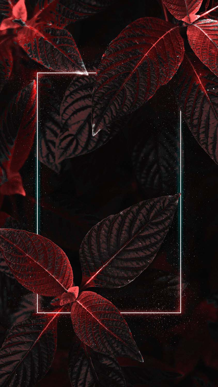 Dark And Red Foliage IPhone Wallpaper HD  IPhone Wallpapers