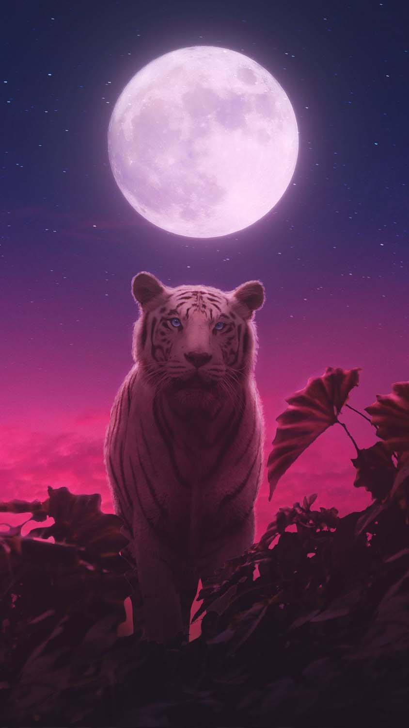 Tiger Moon IPhone Wallpaper HD  IPhone Wallpapers