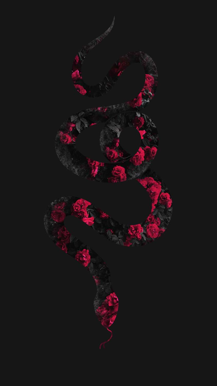 Rose Floral Snake IPhone Wallpaper HD  IPhone Wallpapers
