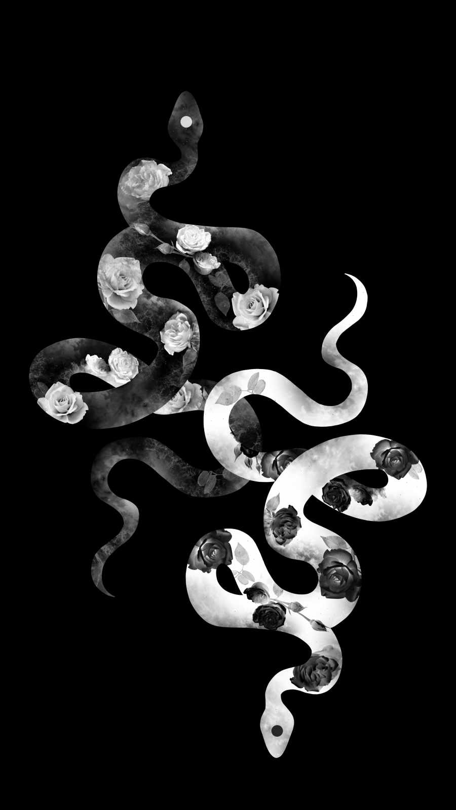 Floral Snake IPhone Wallpaper  IPhone Wallpapers