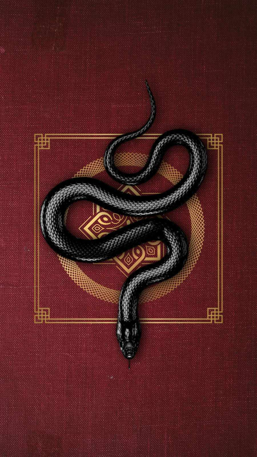 HD Snake Wallpapers  Top Free HD Snake Backgrounds  WallpaperAccess